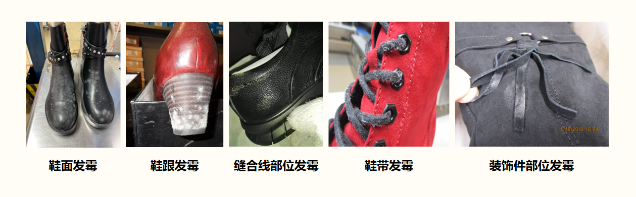 外贸鞋子海关发霉被扣:警钟长鸣,防霉是企业的“生命线”-艾浩尔防霉抗菌