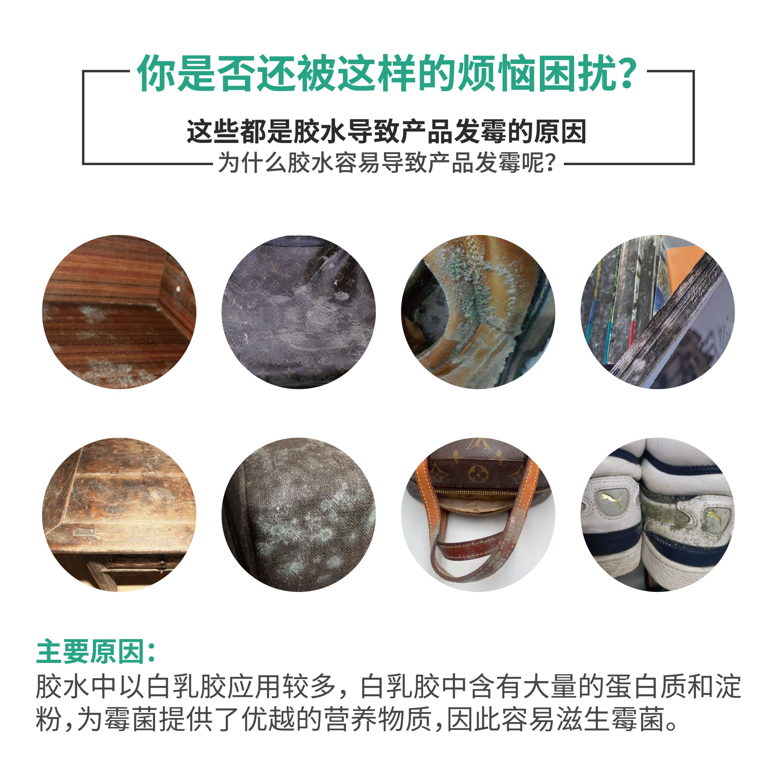 iHeir-JS胶水防霉剂｜水性胶水涂料专用防霉抗菌剂-艾浩尔防霉抗菌